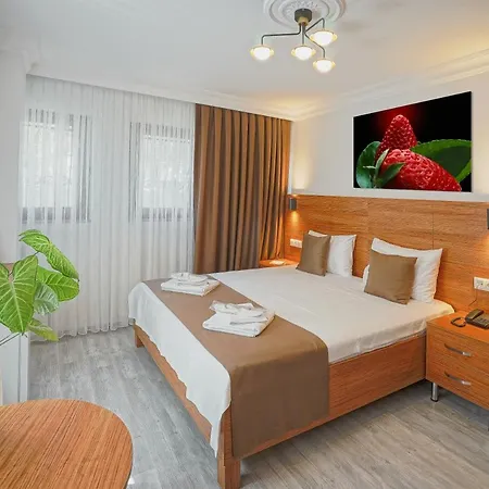 Class Bosphorus With Jacuzzi 2* イスタンブール